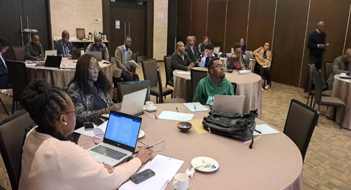 Building the capacity of selected sub-sahara african countries to effectively measure progress in their nationally determined contributions’ implementation using tracking tools and indexes